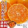 『ハウスみかん』 佐賀県産 JAからつ 秀品 約2kg (目安として20～24玉) S～Mサイズ ※常温 送料無料