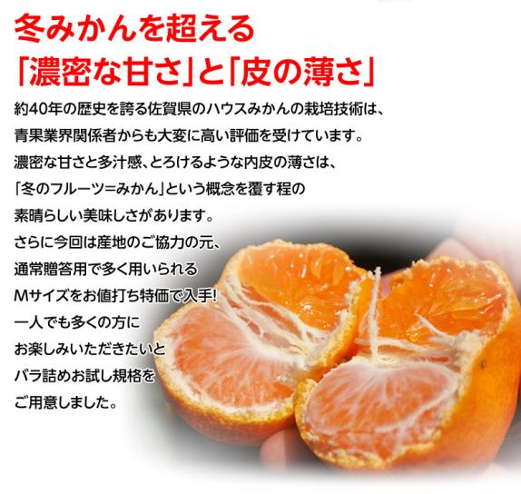ハウスみかん 佐賀県産 秀品 S〜Mサイズ 約2kg (目安:20〜24玉) 簡易箱