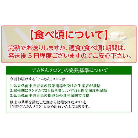 大玉メロン『アムさん』 青森県産 つがりあんメロン 秀品 1玉 約1.5kg ※常温　産地直送 ギフト 贈答 お中元 送料無料06