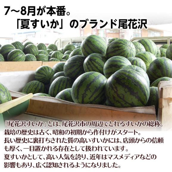 『尾花沢スイカ（訳あり）』山形県産 2L～3Lサイズ 1玉 約6.8kg（風袋込み）※冷蔵 送料無料02