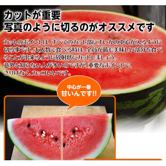 『尾花沢スイカ（訳あり）』山形県産 2L～3Lサイズ 1玉 約6.8kg（風袋込み）※冷蔵 送料無料04