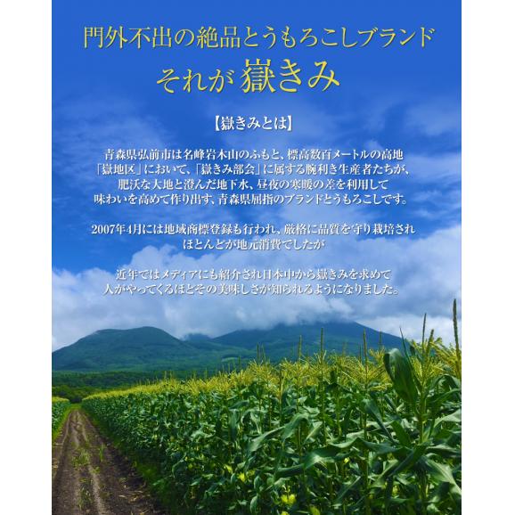 無選別『嶽きみ』青森県産とうもろこし 約3kg(7～13本前後) ※冷蔵 岩木山嶽高原直送 送料無料02