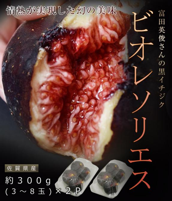 富田秀俊さんの 黒いちじく ビオレソリエス 佐賀県産 無花果 イチジク