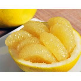 『メロゴールド』カリフォルニア産 柑橘 約4.5kg （9～12玉） 簡易包装 ※常温 送料無料
