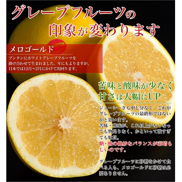 『メロゴールド』カリフォルニア産 柑橘 約4.5kg （9～12玉） 簡易包装 ※常温 送料無料02