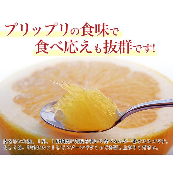『メロゴールド』カリフォルニア産 柑橘 約4.5kg （9～12玉） 簡易包装 ※常温 送料無料03