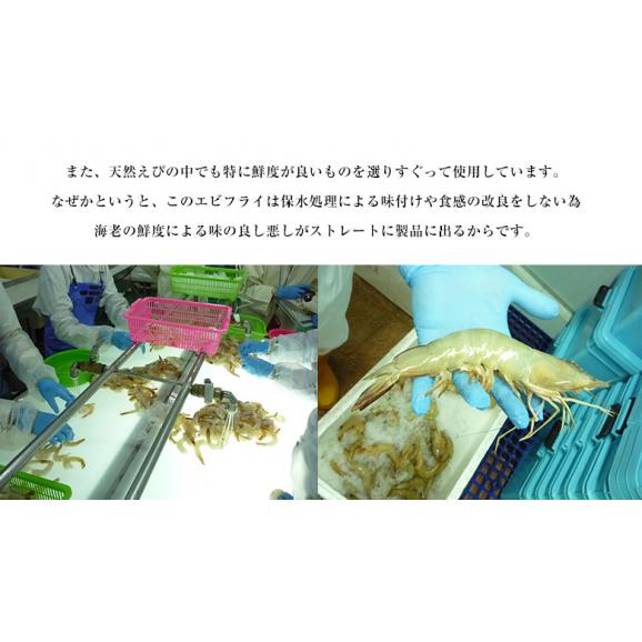 えび エビ 海老 築地市場 卸の社食 天然エビフライ Ｌサイズ 10尾 250g×3P 冷凍 送料無料04