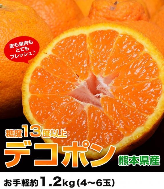 3箱同時購入で1箱増量】デコポン 熊本県産 約1.2kg 4～6玉 送料