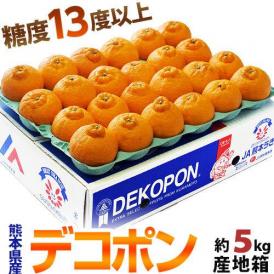 デコポン 糖度13度 熊本県産 柑橘 約5kg 18～24玉　産地箱入 常温 送料無料 みかん デコポン