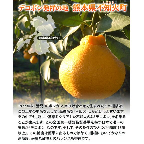 デコポン 糖度13度 熊本県産 柑橘 約5kg 18～24玉　無印　産地箱入 常温 送料無料 みかん デコポン03