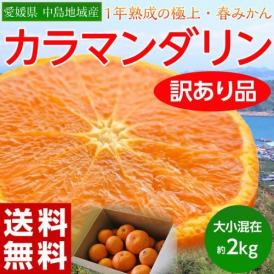 【2箱で1kg増量、3箱購入で4kg増量】愛媛県 中島地域産 　訳あり　カラマンダ リン 大～小 約2kg　※常温　送料無料