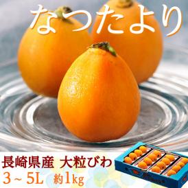 びわ 『なつたより』 長崎県産 秀品 大粒3～5L 　約1kg　12～16玉 ※冷蔵 送料無料