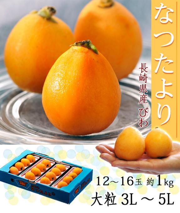 大粒『なつたより』長崎県産 びわ 秀品 3～5L 約1kg（12～16玉