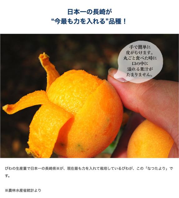 大粒『なつたより』長崎県産 びわ 秀品 3～5L 約1kg（12～16玉
