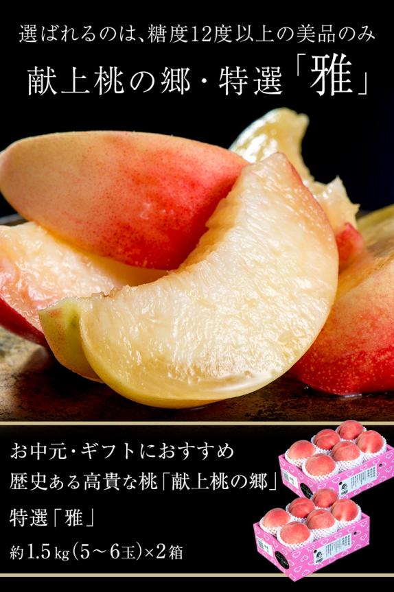 献上桃の郷 福島県桑折町産 特選 「雅」 約1.5kg（5～6玉）×2箱 ※常温