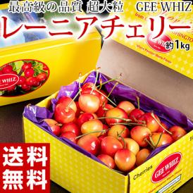 オービル農園の『レーニアチェリー』 超大粒 直径25mm～ 約1kg アメリカ・ワシントン州産 GEE WHIZ レイニア　※冷蔵 送料無料