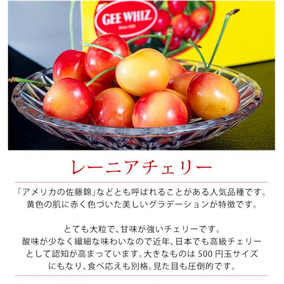 オービル農園の『レーニアチェリー』 超大粒 直径25mm~ 約1kg オービル農園の『レーニアチェリー』 超大粒 直径25mm~ 約1kg