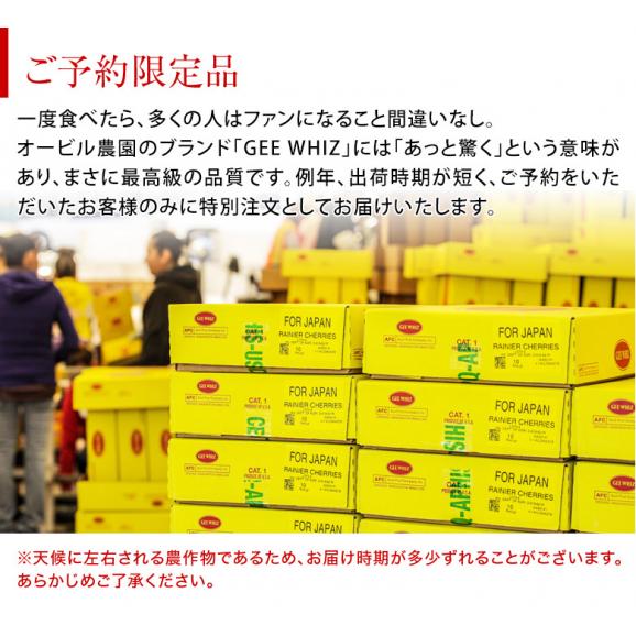 オービル農園の『レーニアチェリー』 超大粒 直径25mm～ 約1kg アメリカ・ワシントン州産 GEE WHIZ レイニア　※冷蔵 送料無料05