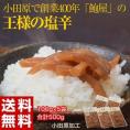 イカ いか 烏賊 小田原 創業400年の鮑屋が作る 王様の塩辛 100g×5袋セット しおから シオカラ ごはんのお供 冷製おつまみ まとめ買い 冷凍 送料無料