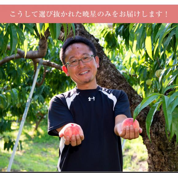 古山浩司氏の『糖度13度以上 暁星（ぎょうせい）』福島県産 もも 特秀品 約2kg（6～8玉）※常温05