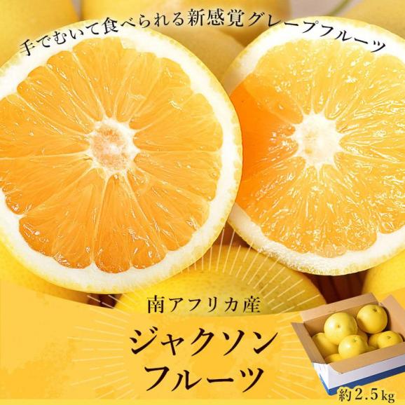 ジャクソンフルーツ 南アフリカ産 約2.5kg（目安：10～15玉）簡易箱 ※冷蔵 送料無料 グレープフルーツ02