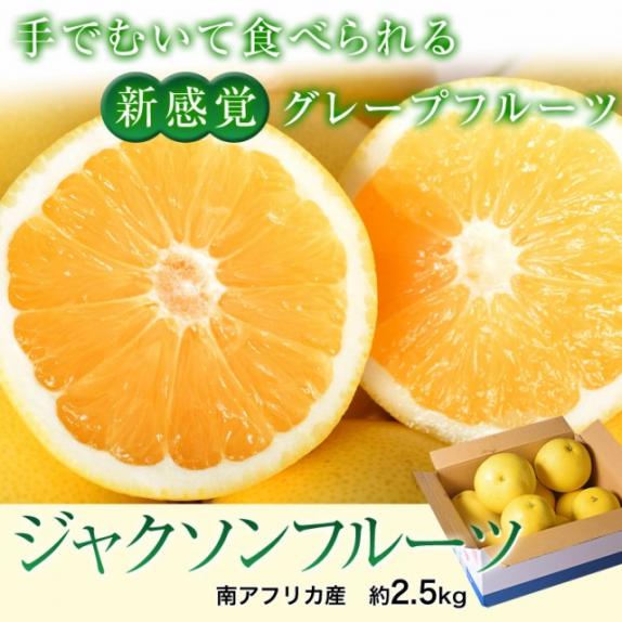 ジャクソンフルーツ 南アフリカ産 約2.5kg (目安：10～15玉）簡易箱