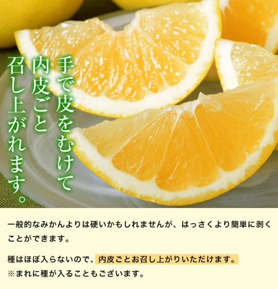 ジャクソンフルーツ 南アフリカ産 約2.5kg (目安：10～15玉）簡易箱