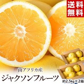 【カード・代引限定】『ジャクソンフルーツ』 南アフリカ産 約5kg（約2.5kg×2箱：20～34玉） ※冷蔵 送料無料