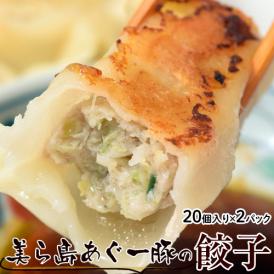 餃子 ぎょうざ 美ら島あぐー豚100％使用 沖縄 美ら島あぐー豚の餃子 20個入り 400g×2パック ※冷凍 贈り物 おつまみ お弁当 おかず 冷凍食品 冷凍同梱可能