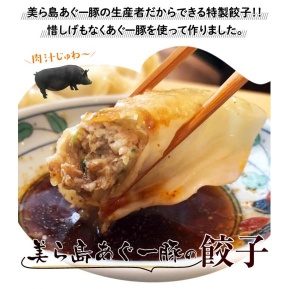 餃子 ぎょうざ 美ら島あぐー豚100％使用 沖縄 美ら島あぐー豚の餃子 20個入り 400g×2パック ※冷凍 贈り物 おつまみ お弁当 おかず 冷凍食品 冷凍同梱可能02
