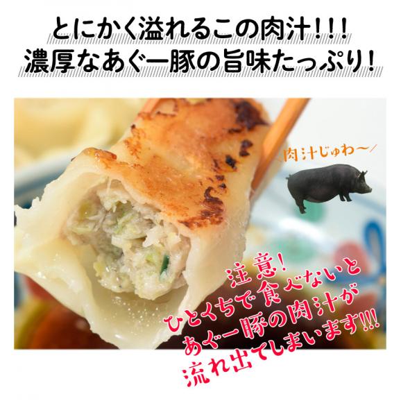 餃子 ぎょうざ 美ら島あぐー豚100％使用 沖縄 美ら島あぐー豚の餃子 20個入り 400g×2パック ※冷凍 贈り物 おつまみ お弁当 おかず 冷凍食品 冷凍同梱可能03