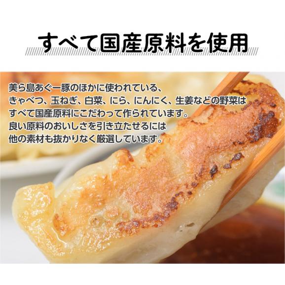 餃子 ぎょうざ 美ら島あぐー豚100％使用 沖縄 美ら島あぐー豚の餃子 20個入り 400g×2パック ※冷凍 贈り物 おつまみ お弁当 おかず 冷凍食品 冷凍同梱可能05