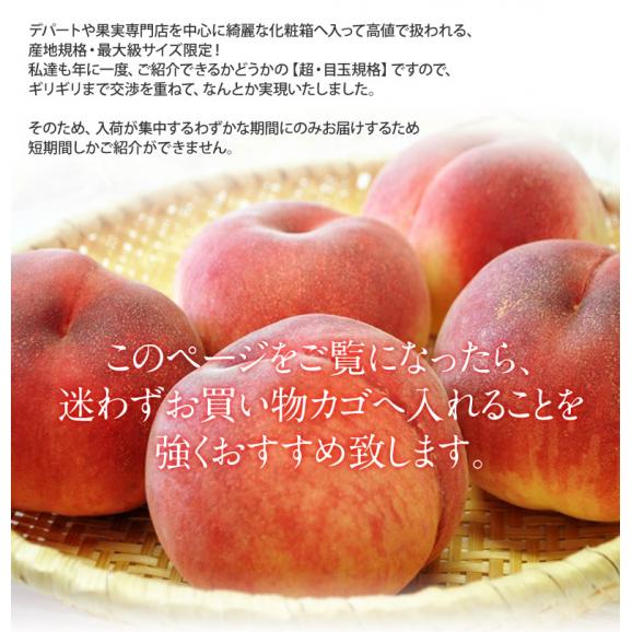 山梨県産 御所の 特選 ピンク桃 超大玉5玉 約1.8kg 化粧箱 ※常温　送料無料02