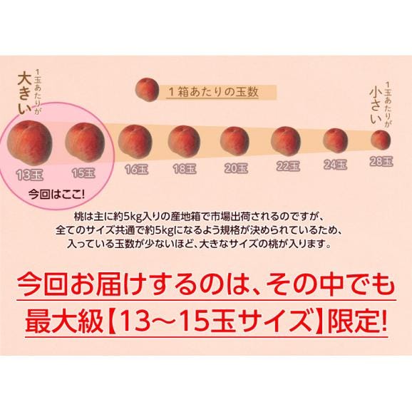 山梨県産 御所の 特選 ピンク桃 超大玉5玉 約1.8kg 化粧箱 ※常温　送料無料03