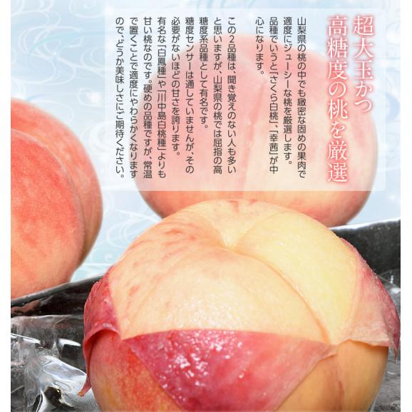 山梨県産 御所の 特選 ピンク桃 超大玉5玉 約1.8kg 化粧箱 ※常温　送料無料04