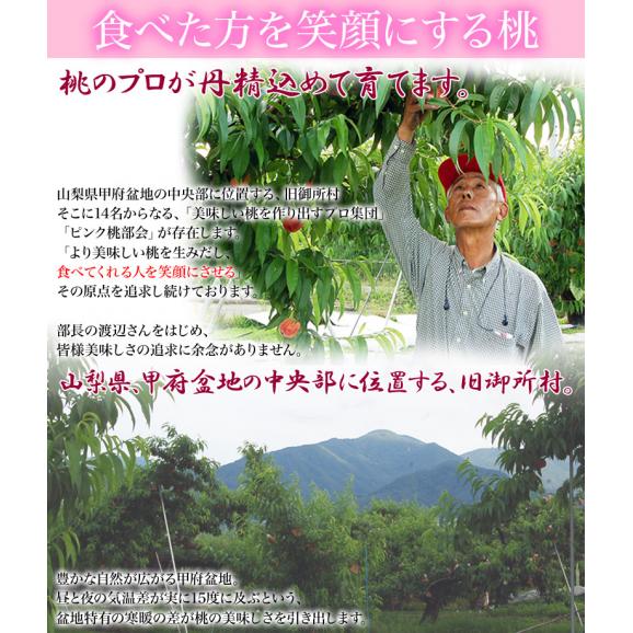 山梨県産 御所の 特選 ピンク桃 超大玉5玉 約1.8kg 化粧箱 ※常温　送料無料05