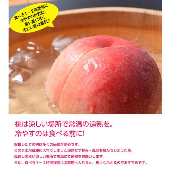 山梨県産 御所の 特選 ピンク桃 超大玉5玉 約1.8kg 化粧箱 ※常温　送料無料06