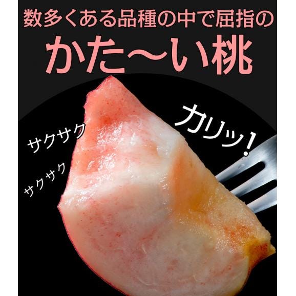 『かたい桃』山形県産 約5kg（13～25玉）おどろき又は美晴白桃 ※常温 送料無料03