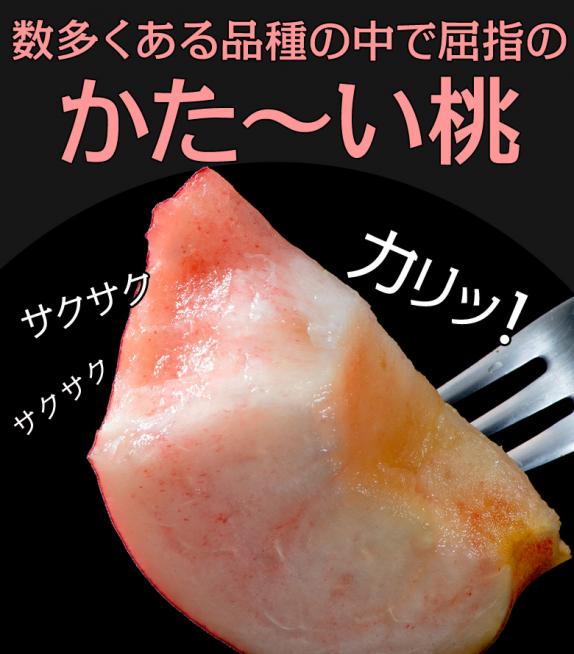 かたい桃』山形県産 約5kg（13～25玉）おどろき又は美晴白桃 ※常温