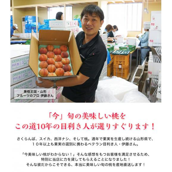 果樹王国 山形県のフルーツのプロ 伊藤さんが選ぶ「旬の桃」約2kg(7～10玉) ※常温 送料無料02