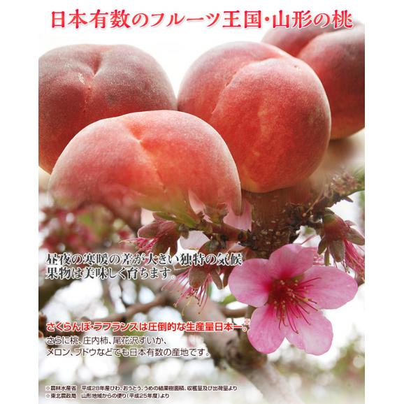 果樹王国 山形県のフルーツのプロ 伊藤さんが選ぶ「旬の桃」約2kg(7～10玉) ※常温 送料無料03