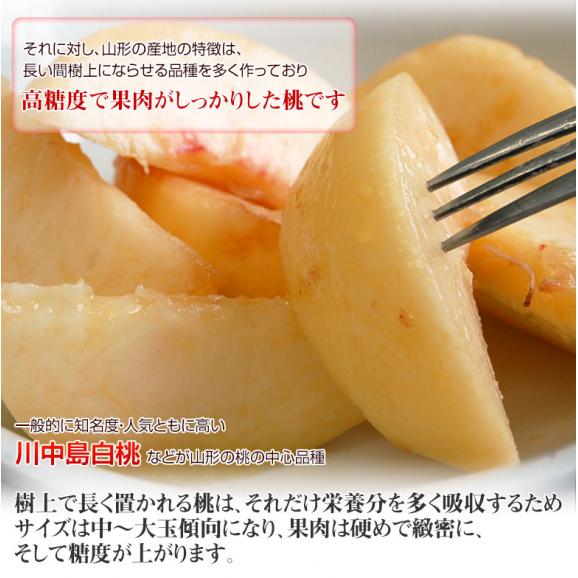 果樹王国 山形県のフルーツのプロ 伊藤さんが選ぶ「旬の桃」約2kg(7～10玉) ※常温 送料無料05