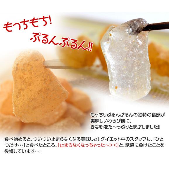 『ぷるんぷるん わらび餅』1kg以上 (545g×2パック) なかないきな粉 おやつ 和スイーツ 冷凍 同梱可能 送料無料05
