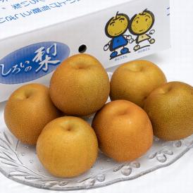 しろいの梨（豊水） 千葉県白井市産 約2.5kg （7～9玉）産地箱 ※冷蔵 送料無料
