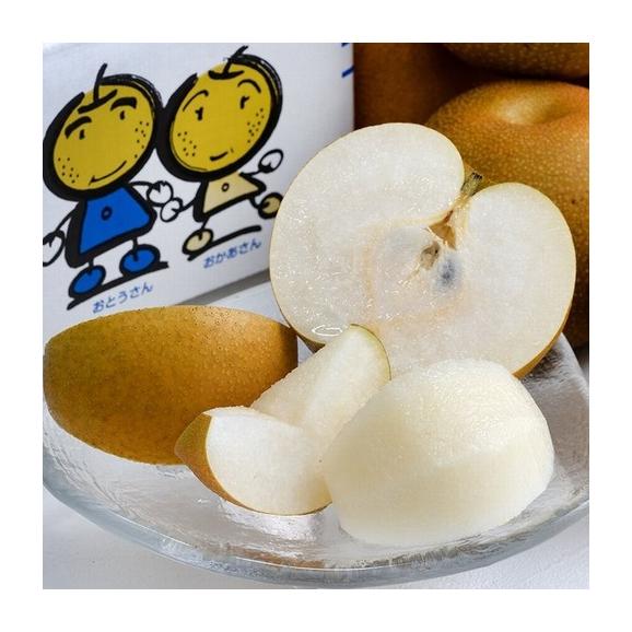 せとかの商品一覧｜通販・お取り寄せ・販売【ぐるすぐり】