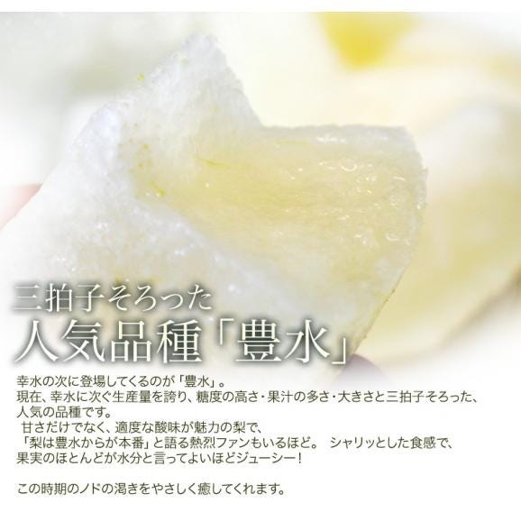 しろいの梨（豊水） 千葉県白井市産 約2.5kg （7～9玉）産地箱 ※冷蔵 送料無料04