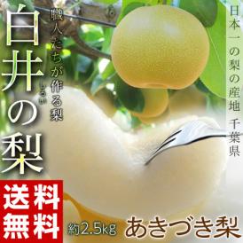しろいの梨 （あきづき梨） 千葉県白井市産 約2.5kg（6～9玉）産地箱 ※冷蔵 送料無料