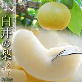 しろいの梨 （あきづき梨） 千葉県白井市産 約3kg（6～9玉）産地箱 ※冷蔵 送料無料