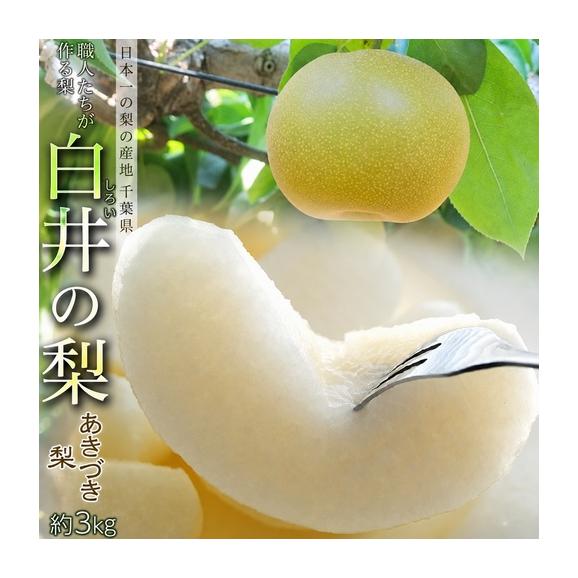 しろいの梨 （あきづき梨） 千葉県白井市産 約3kg（6～9玉）産地箱 ※冷蔵 送料無料01