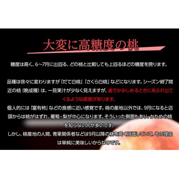 【秀品】大玉 かための桃　約5kg 11～15玉 (幸茜・さくら白桃・伊達白桃など) 福島県産 2番目にかたい桃　※常温 送料無料04